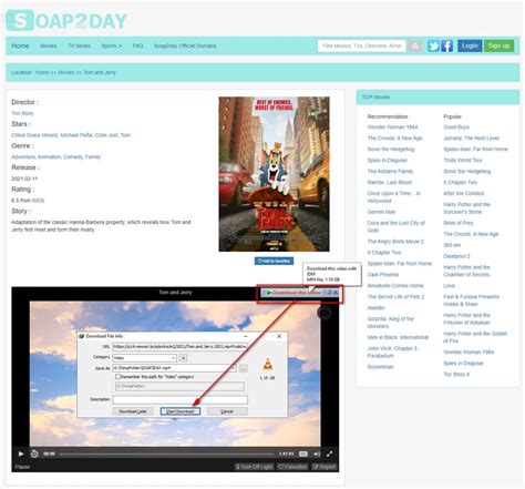 soap2day downloader online|How To Download Videos From Soap2Day .